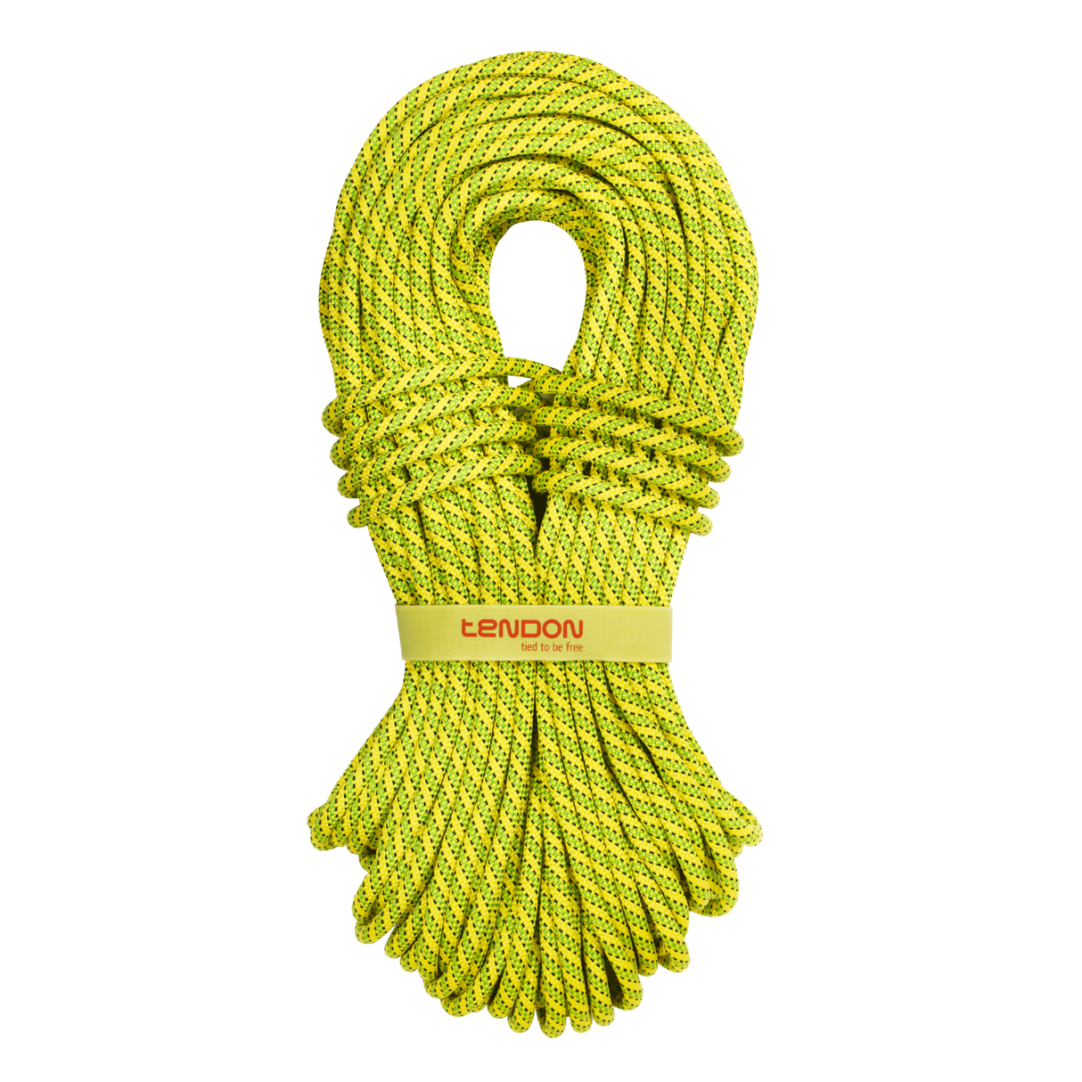 Lano Tendon Ambition 9.8