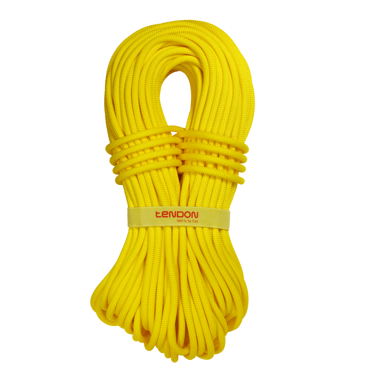 Lano Tendon Ambition 9.8