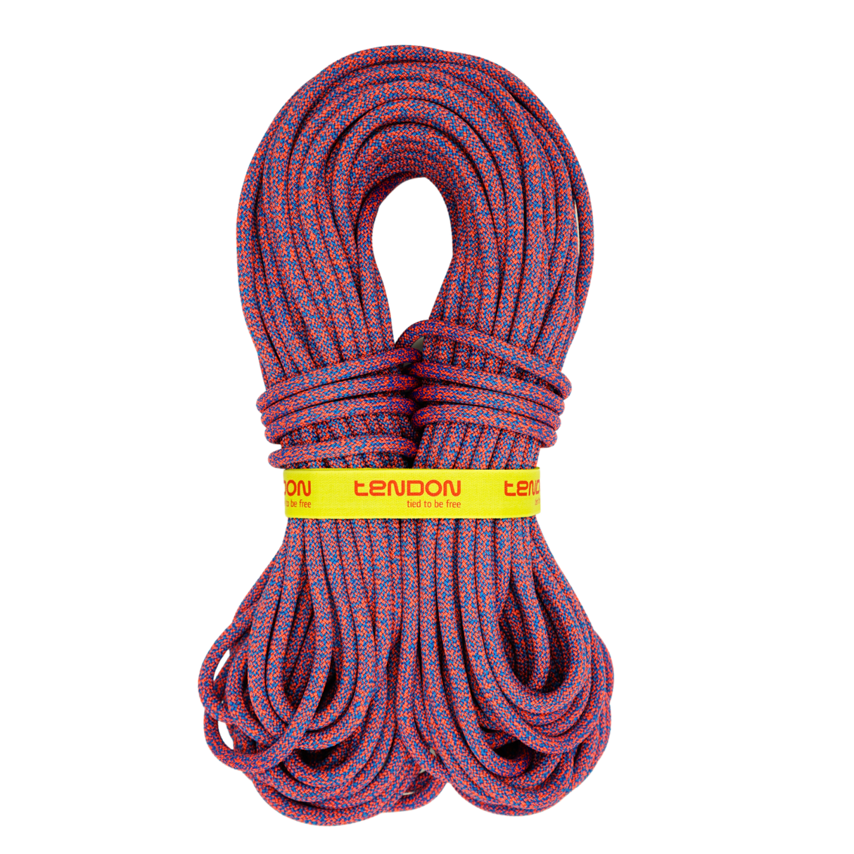 TENDON Anniversal 9.5 - NOVINKA