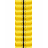 Dutý popruh